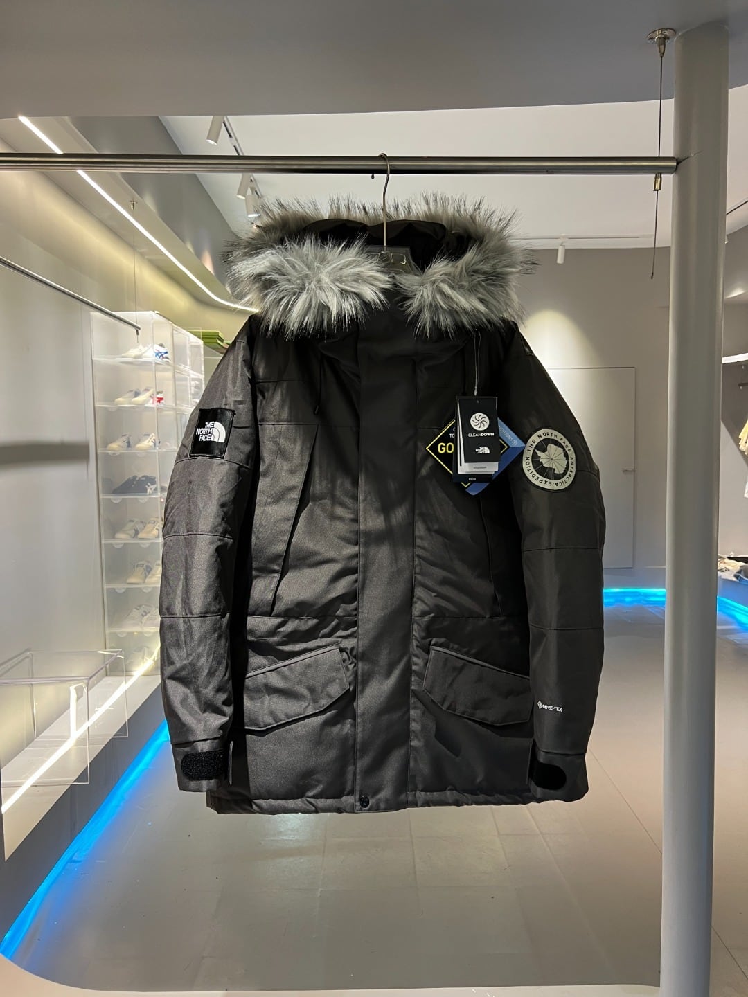 THE NORTH FACE ゴアテックスファーダウンジャケット