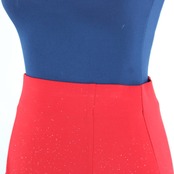 【美品 社交ダンス衣装】スカート レッスンウェア 練習着 赤 レッド キラキラ ラメ シンプル 派手 かわいい 可愛い 透け感