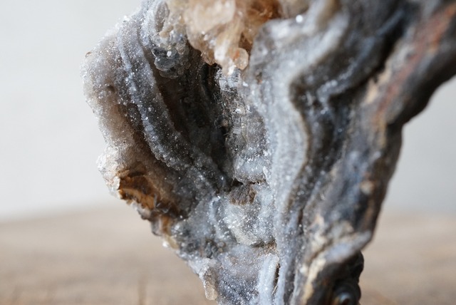 コンシャ・アゲート Concha Agate 706