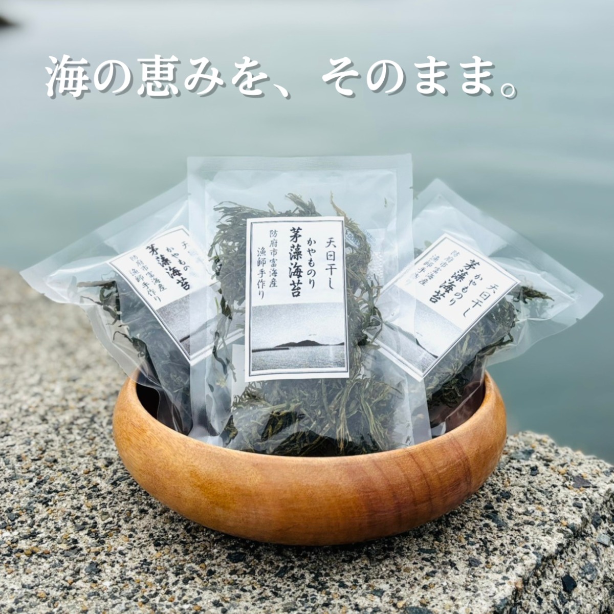 瀬戸内海 山口県防府市富海産 天然 茅藻海苔（かやも）10g ×5袋セット