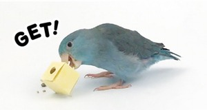 【三晃商会】　フォージング入門 　ペーパーボックス