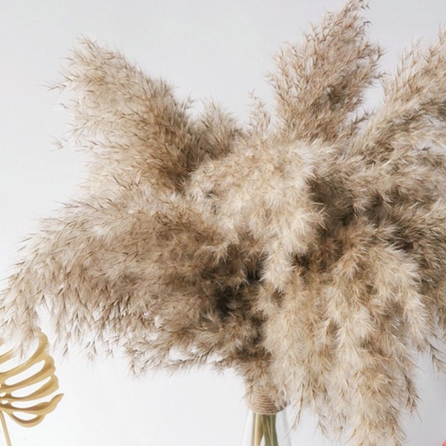 パンパスグラス(ドライフラワー)10piece＊2color