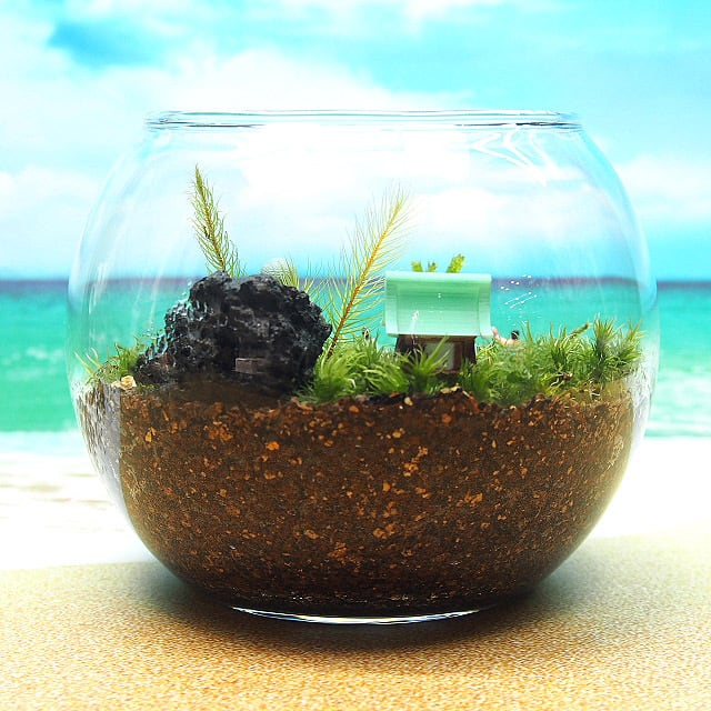 大仏様【苔テラリウム・手作りキット一式】 | 工房・津軽moss