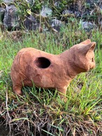 猫のヒゲ集め