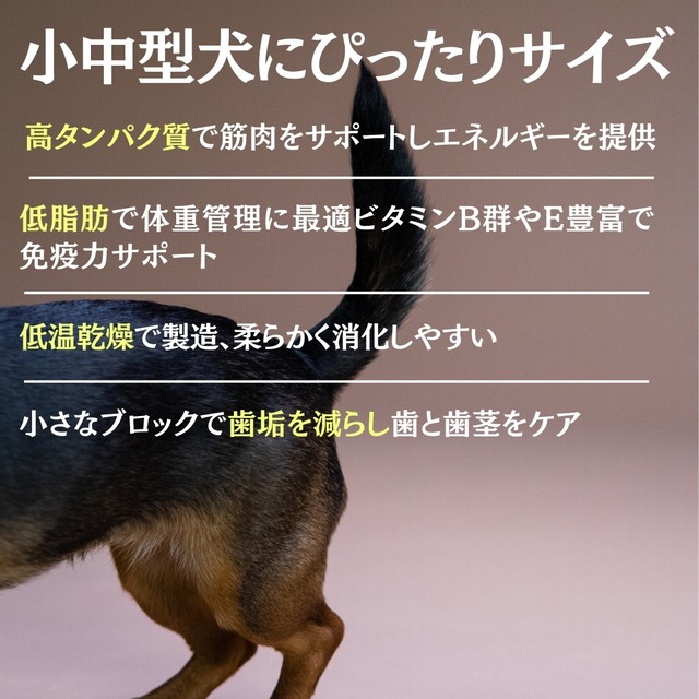 maskota 無添加 手作り 国産 鶏砂肝薄切り ジャーキー ペットおやつ 150g