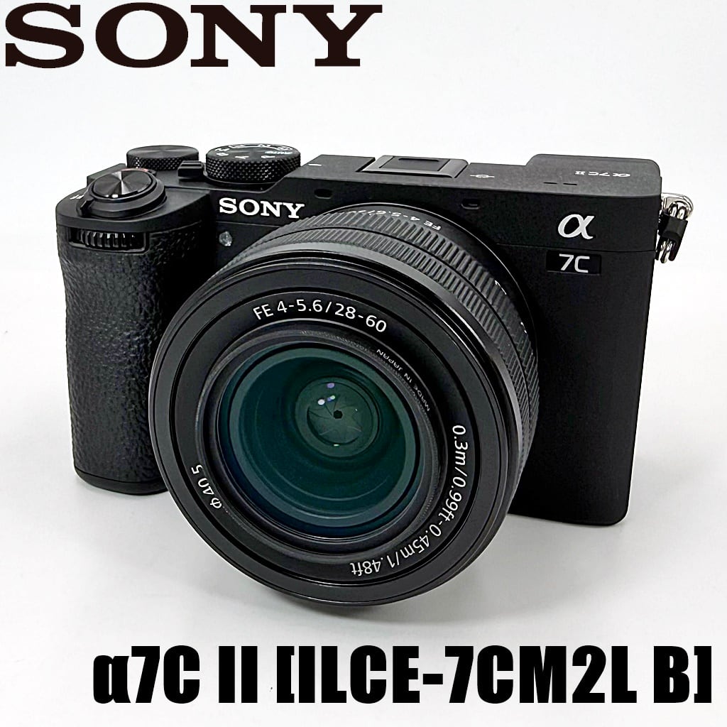 sony a 5000 ILCE-5000 デジタルカメラ　動作品　レンズ欠品 sony a 5000 ILCE-5000 デジタルカメラ 動作品 レンズ欠品 sony a 5000