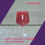 【2026春限定特価】お得なお花見ギフトBOX＜PREMIUM＞