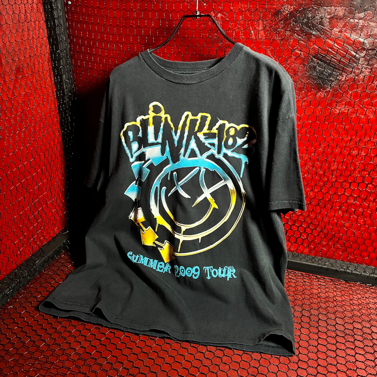 00s DELTA メキシコ製Blink-182 バンドTシャツ 2009ツアー
