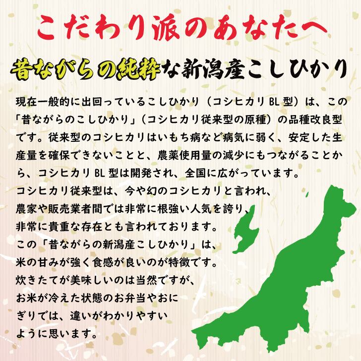取引中    　古米（2024 令和6年産）　コシヒカリBL  玄米　50Kg 令和6年」の人気商品一覧 | 安い商品を通販サイトから探す - 価格.com