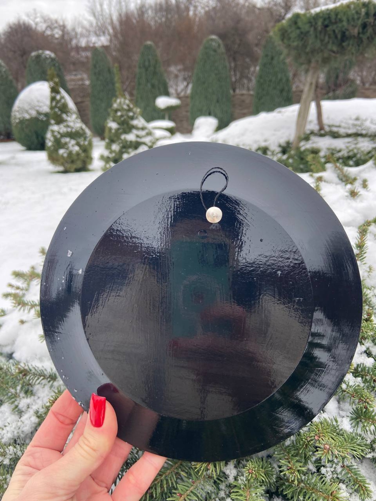 ペトリキウカ塗りのプレート（ヴァレンティナ・ホロべッツ）20cm - 7