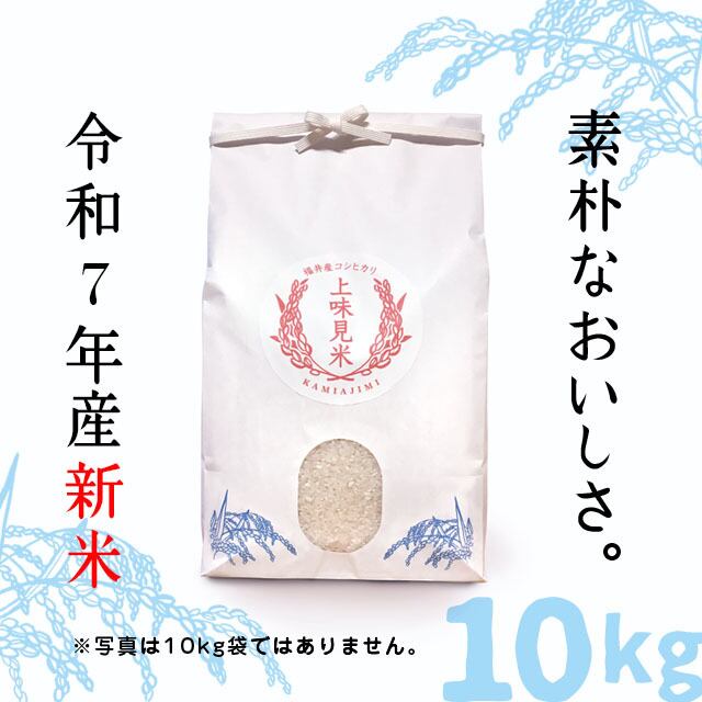 コシヒカリ 令和7年度福井県産 白米 食品 コシヒカリ 令和7年度福井