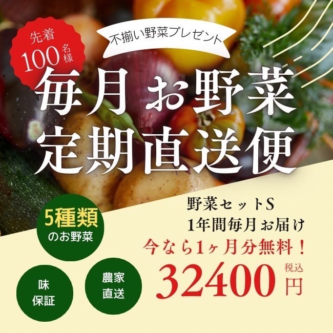 愛菜香　野菜セットS（5品目）　毎月直送　Aisaika