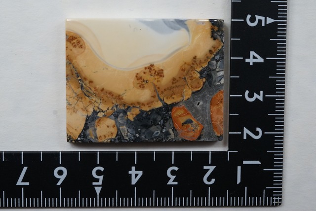 マリガノジャスパー maligano jasper ①