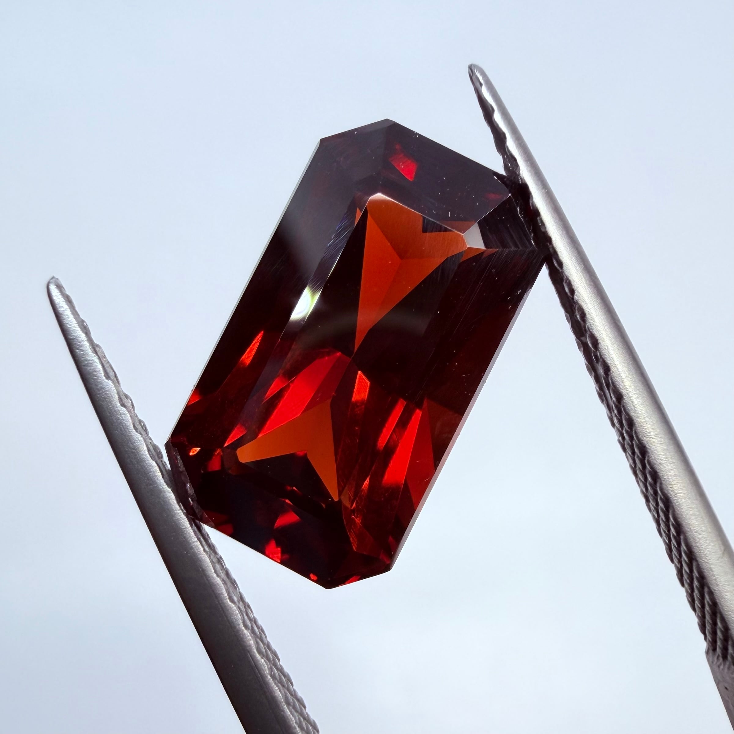 サラブレッドのような重厚感のあるスペサルティンガーネット