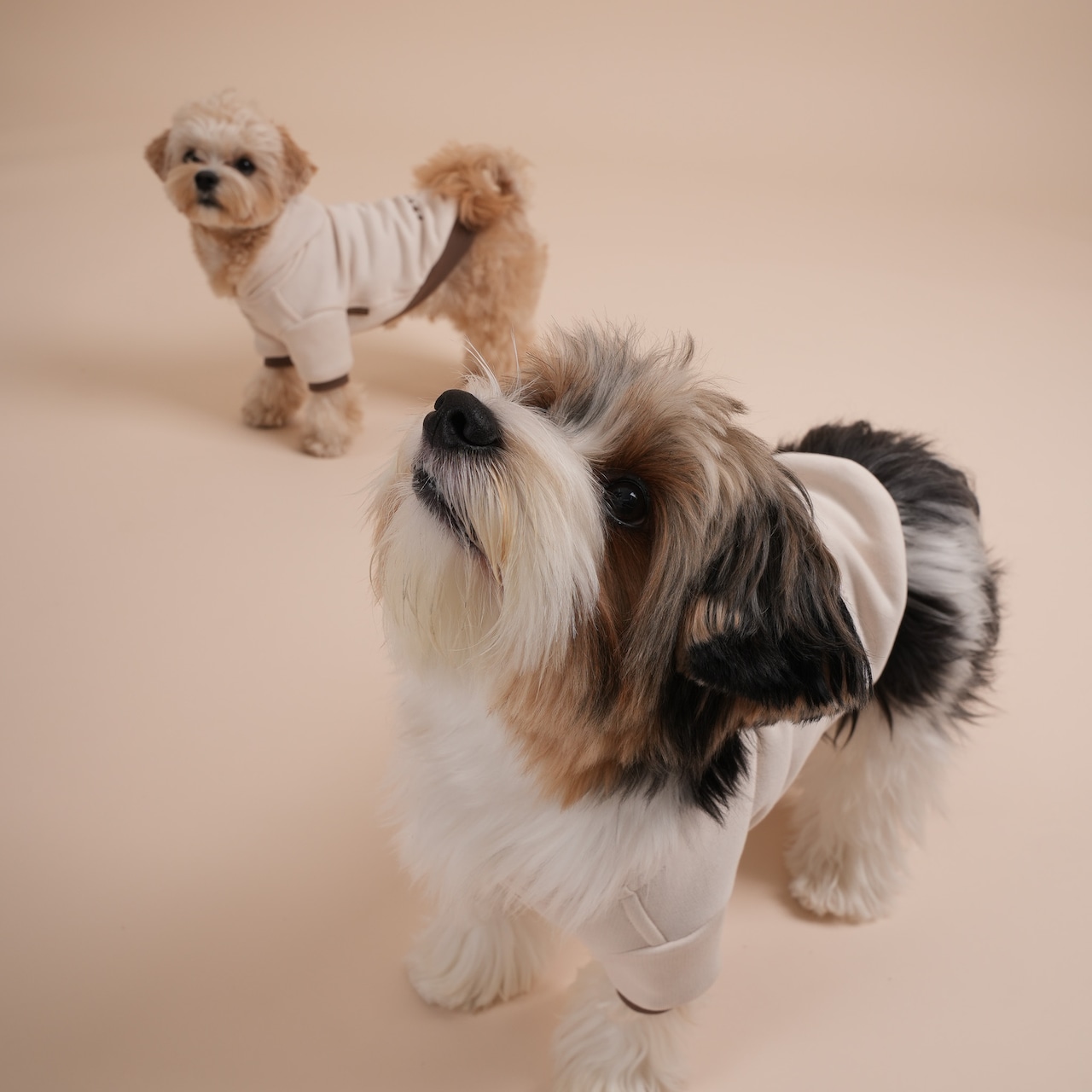 【即納 / 一部予約】Organic Hoodie / Ivory - 4