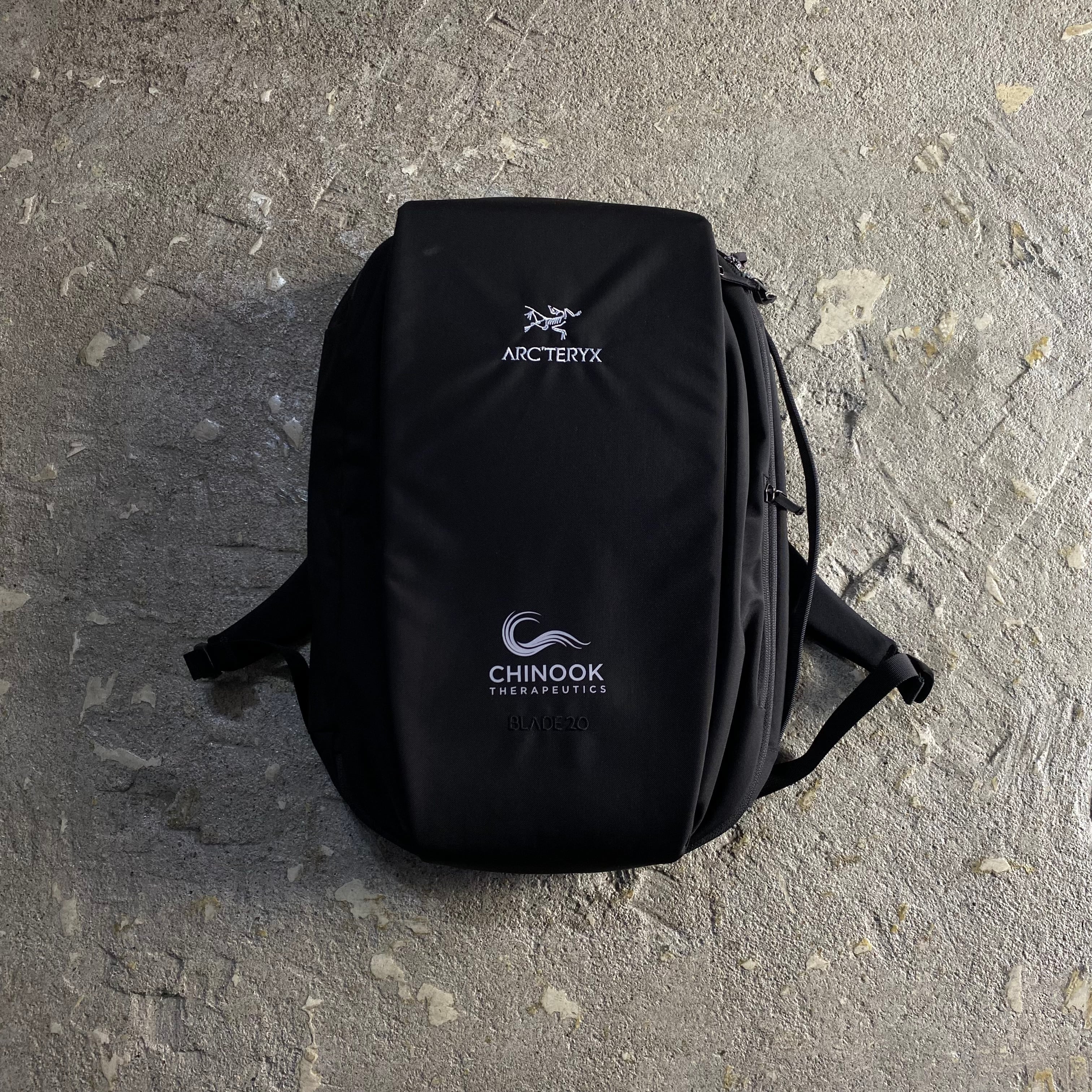 00s y2k テック系 archive ARC'TERYX アーク　リュック 00s y2k テック系 ARC'TERYX アークテリクス リュック archive Arc