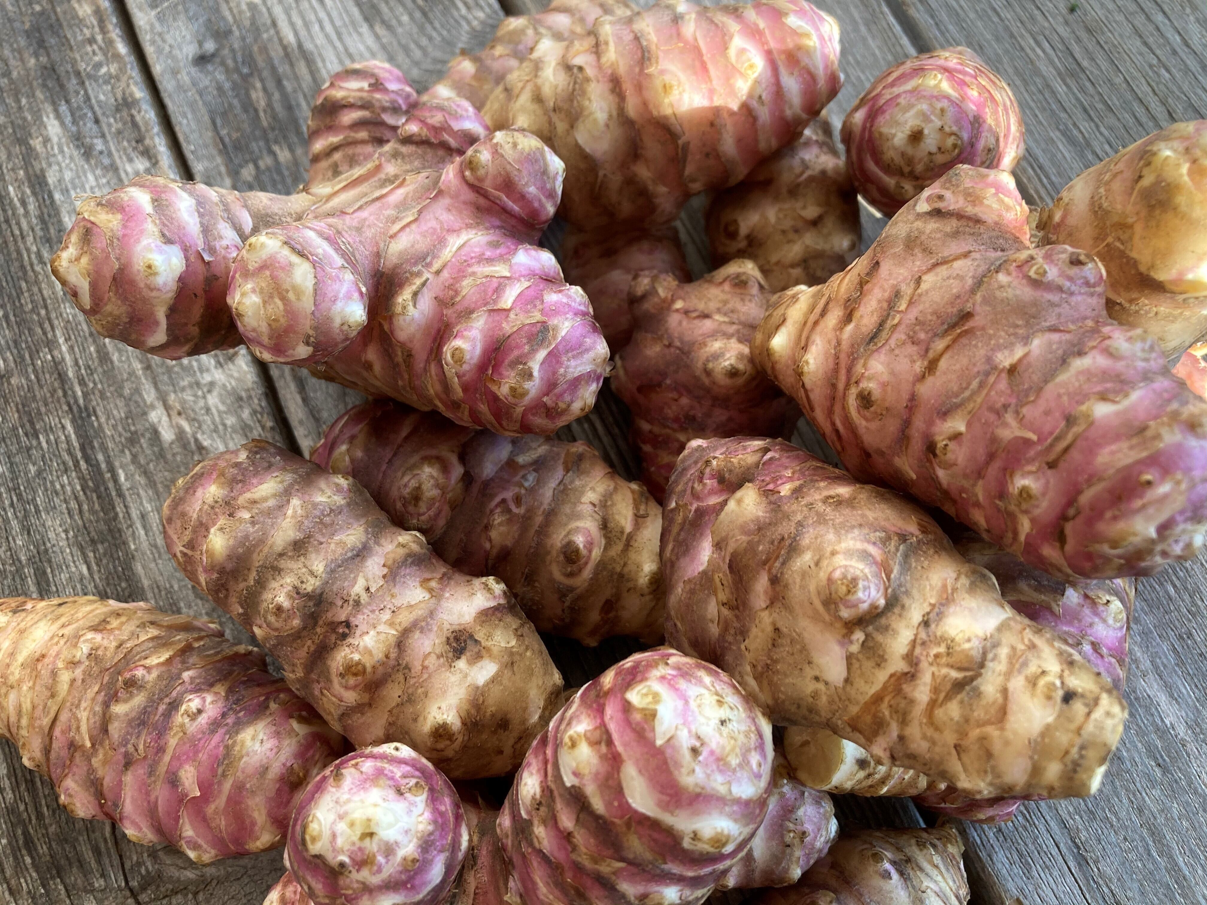 赤菊芋パウダー 130g 田倉ファーム