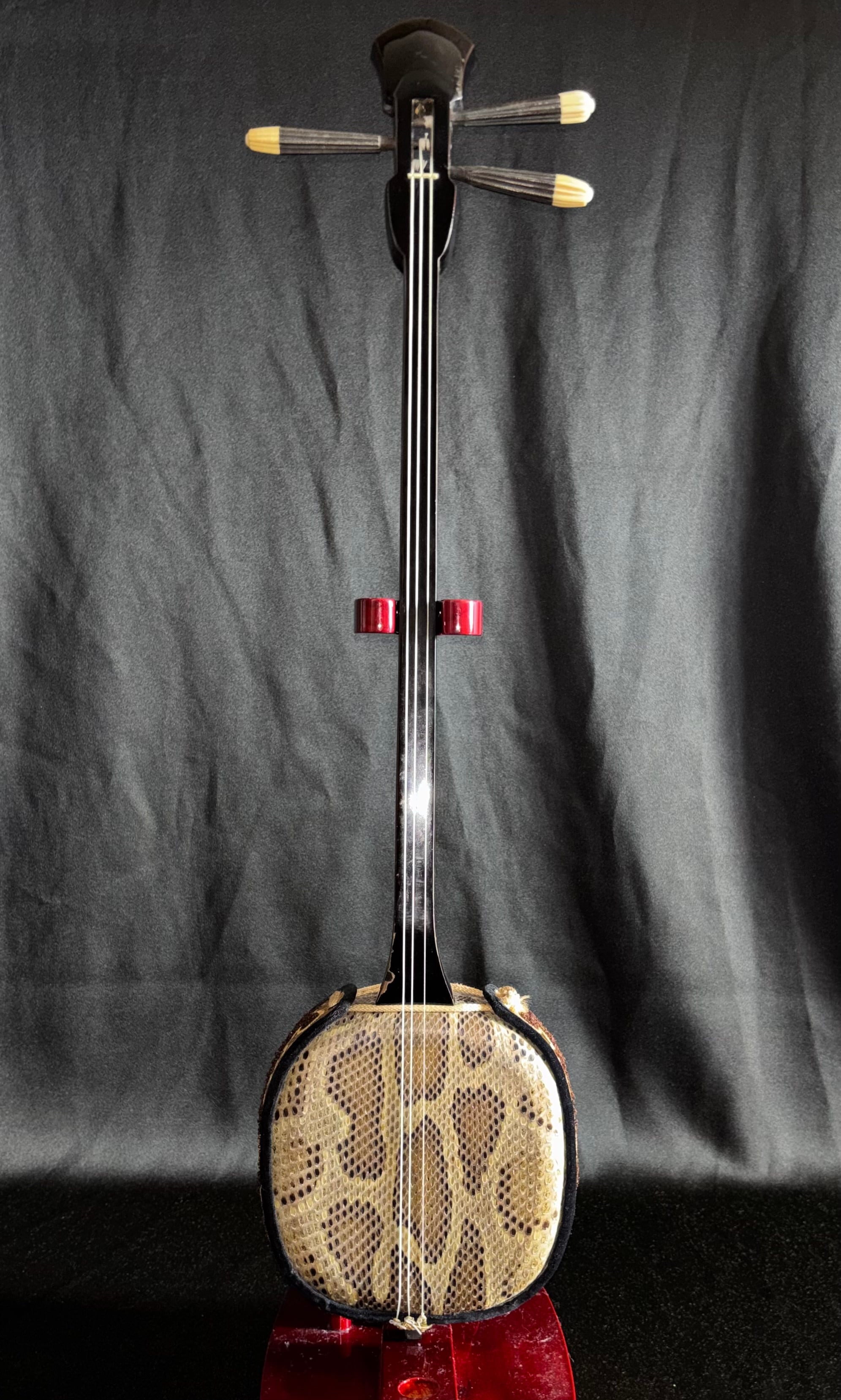 三線本体 | 胴巻屋