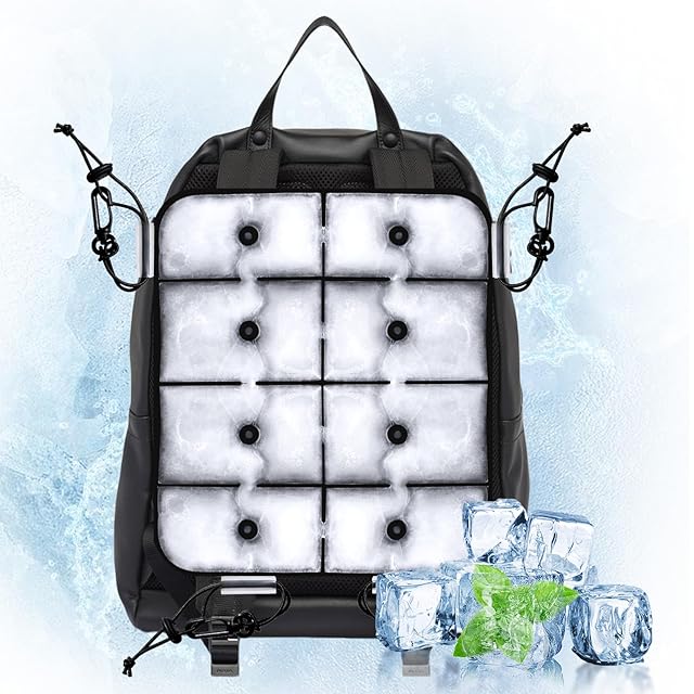 TDL 東京ディズニーランド ワンマンズドリーム2 実写柄 リュック タグ