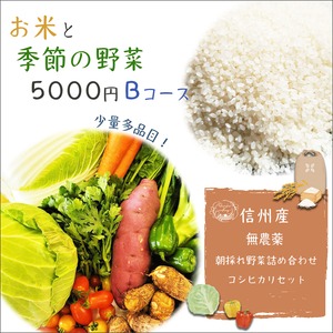 無農薬　お米と季節の野菜5000円【Bコース】