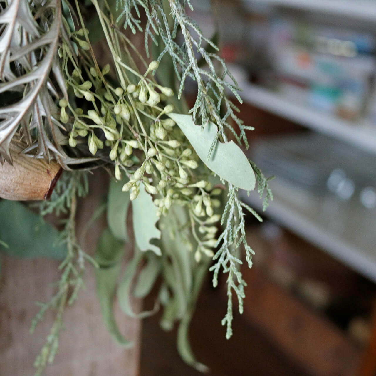 1点もの 丈約50cm 】4種のユーカリのグリーンスワッグ ＊ ドライ