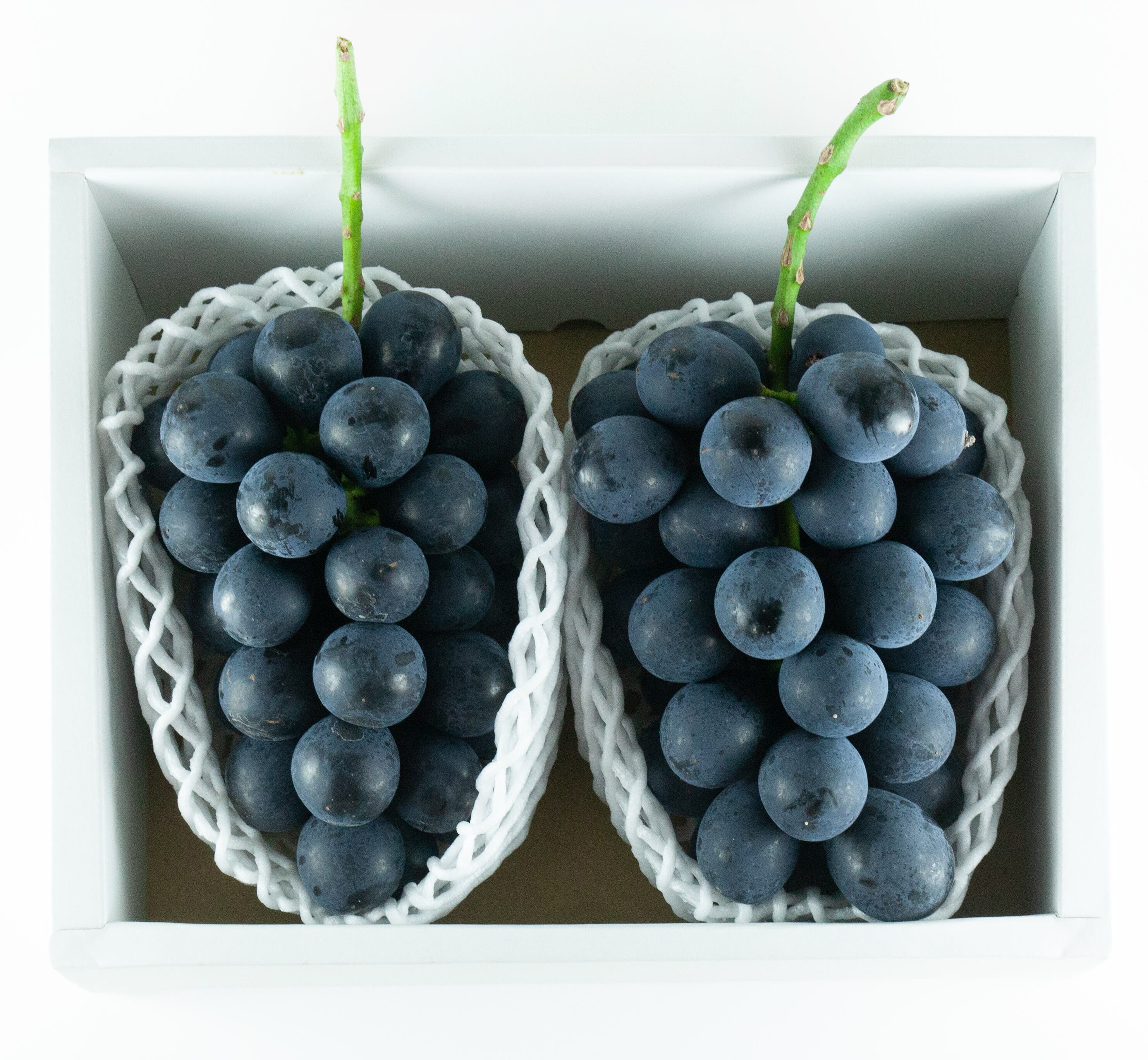 【販売終了】N-2 ナガノパープル 2房入り化粧箱