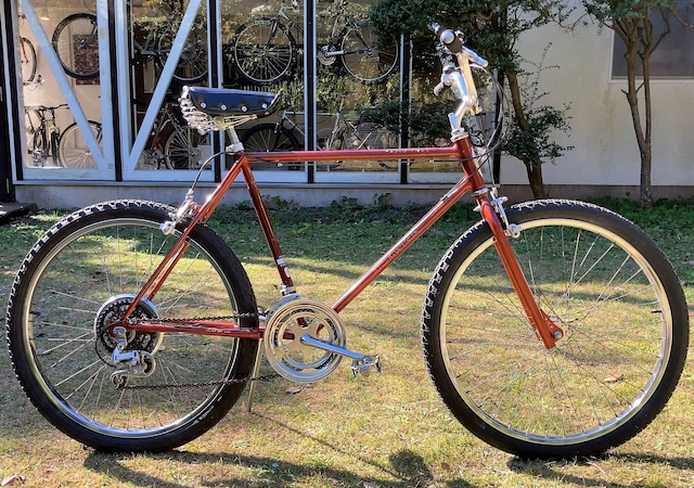 1983 Schwinn Sidewinder