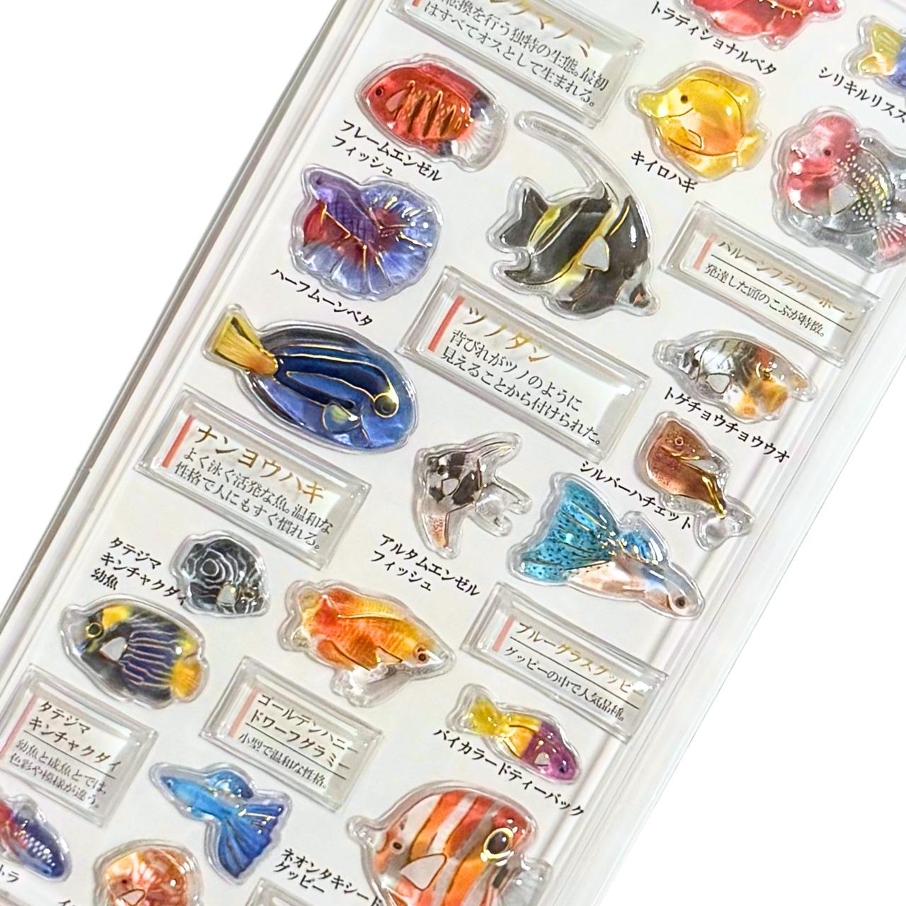 3D大人の図鑑シール　熱帯魚編 - 2