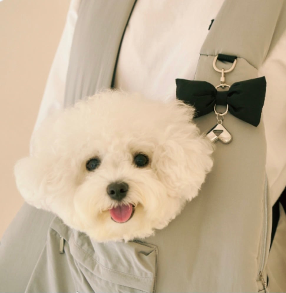 TOMO | ペット用品 LALA BASE ～ Pet Wear Select Shop ～