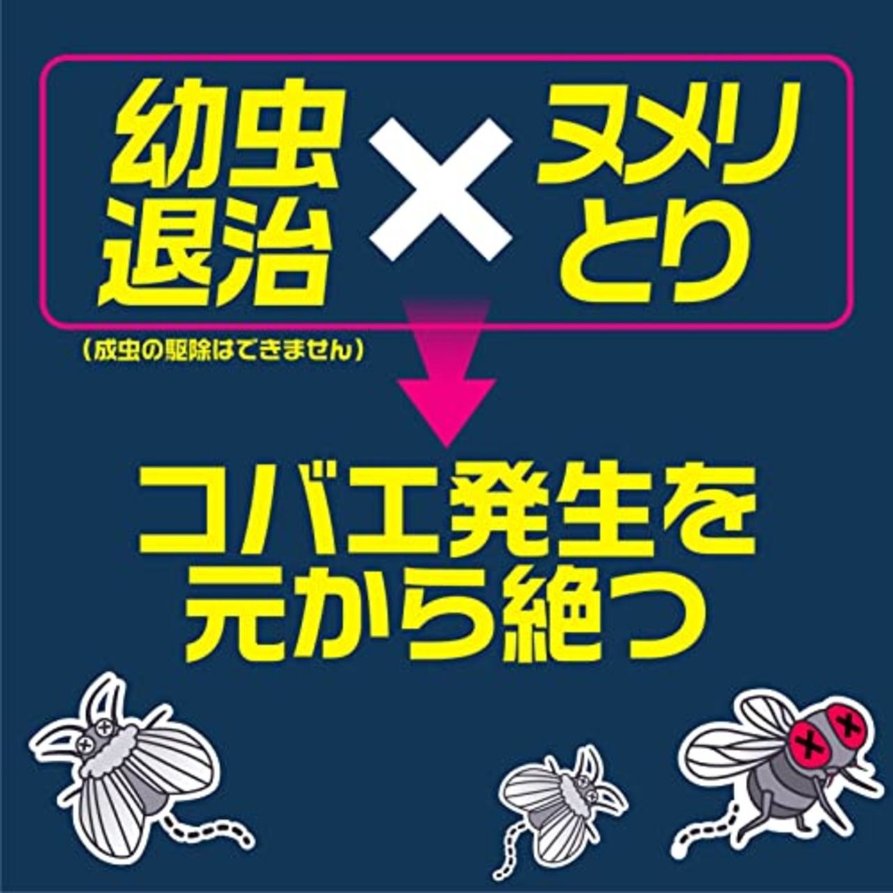 排水口 コバエ退治 ヌメリとりプラス 3錠入り