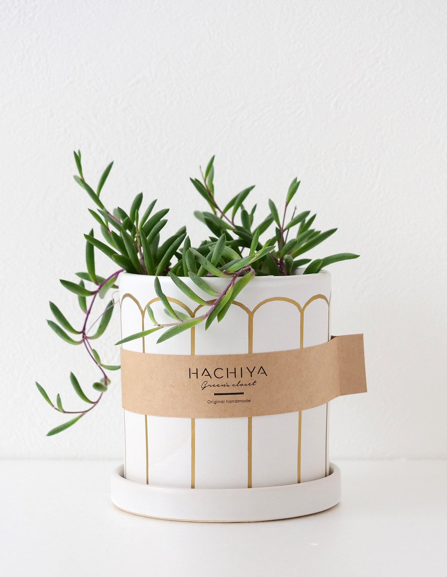 <陶器鉢> Gold-Arch Mサイズ