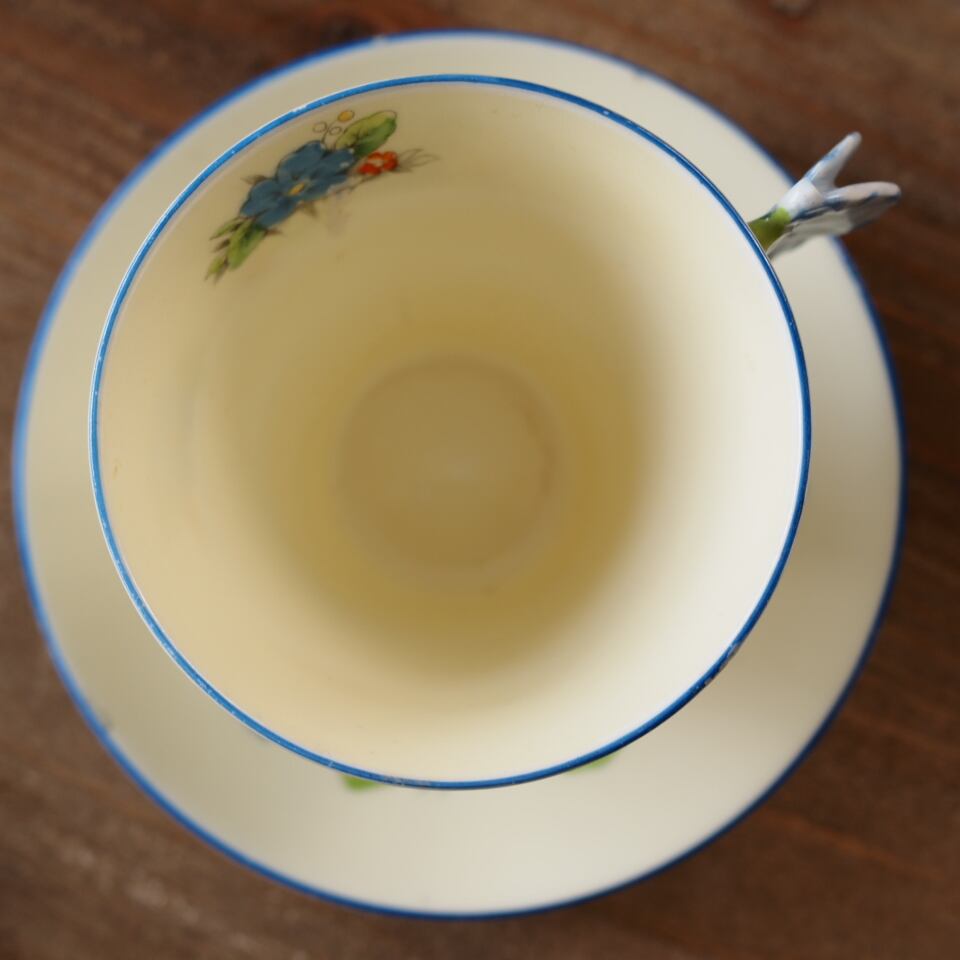 訳あり【英国Paragon】パラゴン プリムローズボーダー フラワー