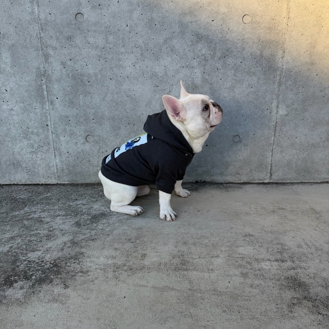 THE BITING ザ バイティング パーカー（チャコールグレー） - 5