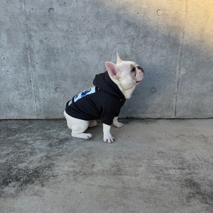 THE BITING ザ バイティング パーカー（チャコールグレー）