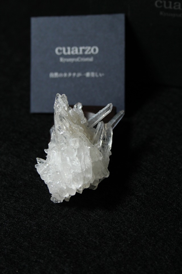 宮崎クリスタルnishimera ローズウッドベース小【ni0101】