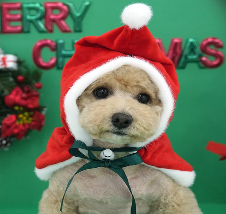 christmas manto / クリスマス マント ドッグウェア 犬の服 帽子 ケープ 冬 サンタ アウター 犬 コスプレ サンタクロース hu7