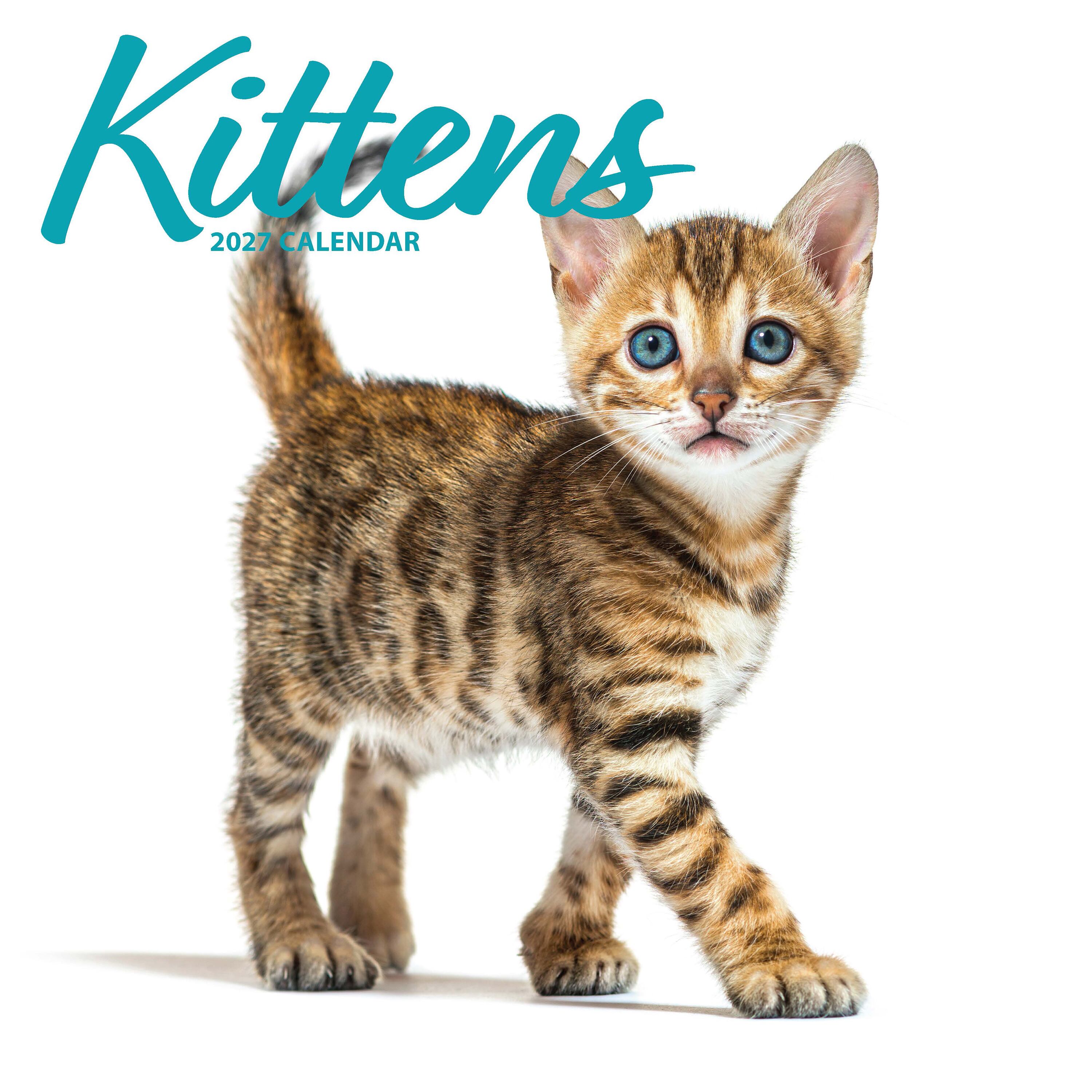 【2027年版】英国製カレンダー【Kittens】modern 2027年版