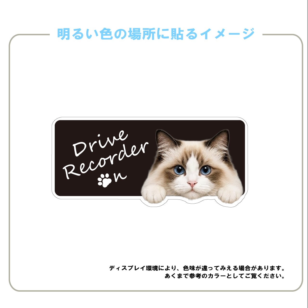 ラグドール・猫・CAT・cat・ドライブレコーダー・ドラレコステッカー・撮影中・車・ステッカー・インクジェット印刷・横型・屋外用・猫好き・ドライブグッズ・監視しています・おもしろい・かわいい・肉球