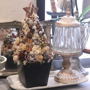 木の実ツリーL　1点もの｜木の実の小さなクリスマス飾り　木の実いっぱい　冬のナチュラルインテリア　プレゼント　推し活におすすめ　