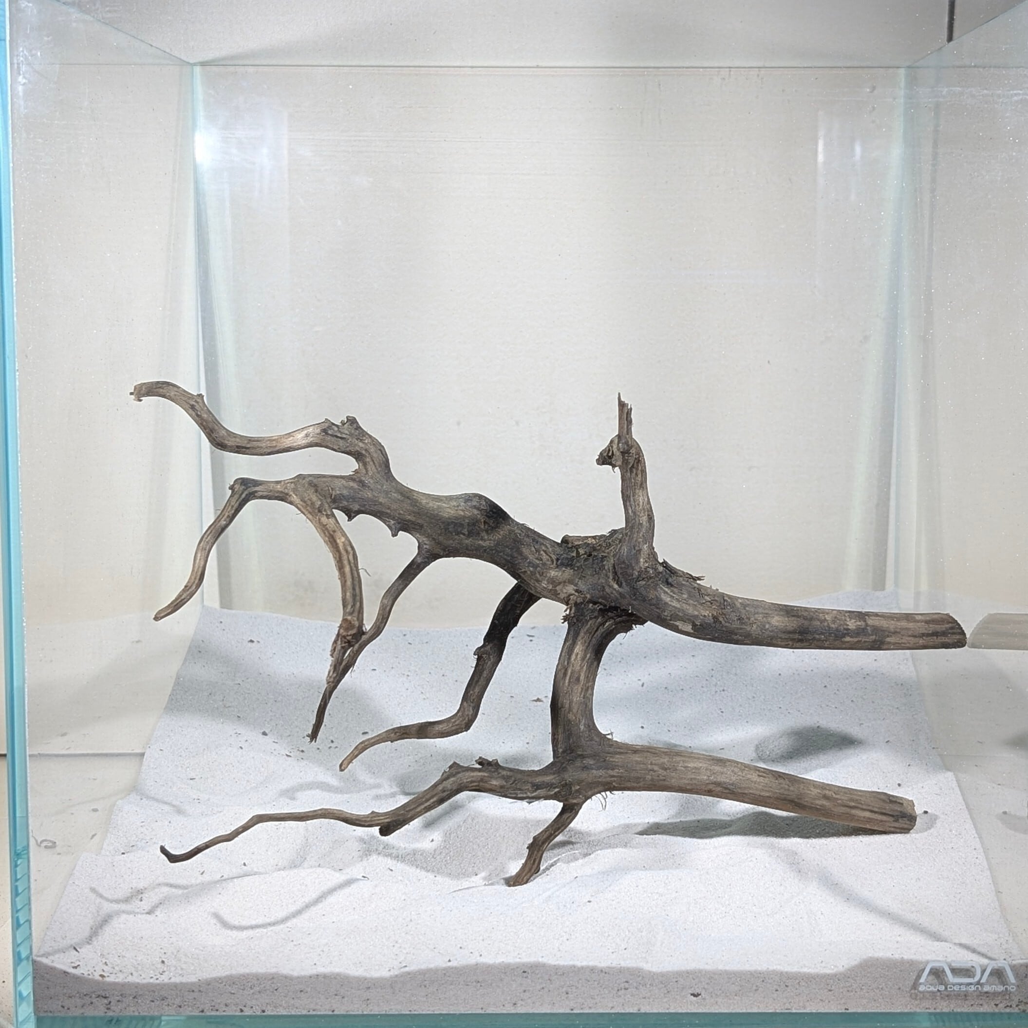 ペットの流木 水宗工房