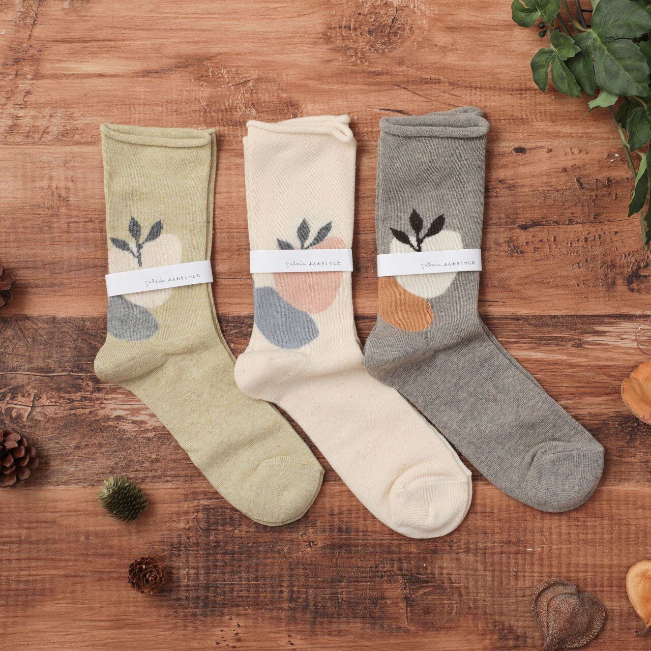 サルビア salvia 靴下 ソックス レディース ふんわりくつした 芽生え りんご コットン ゴムなし おしゃれ かわいい ナチュラル しめつけない 日本製 ギフト プレゼント プレーン/グリーン/グレー 22-25cm Sv013