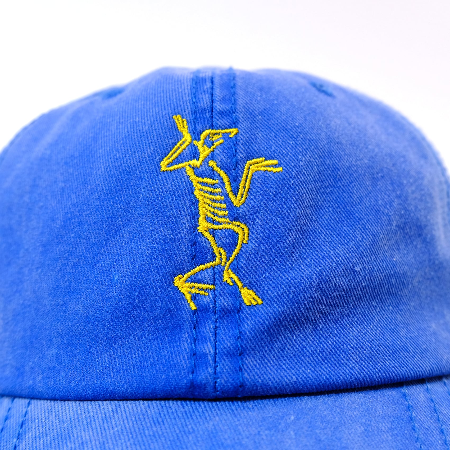 AUSTRA'LOPITHEX Pigment Dyed Heavy Cotton Twill cap【ピグメント