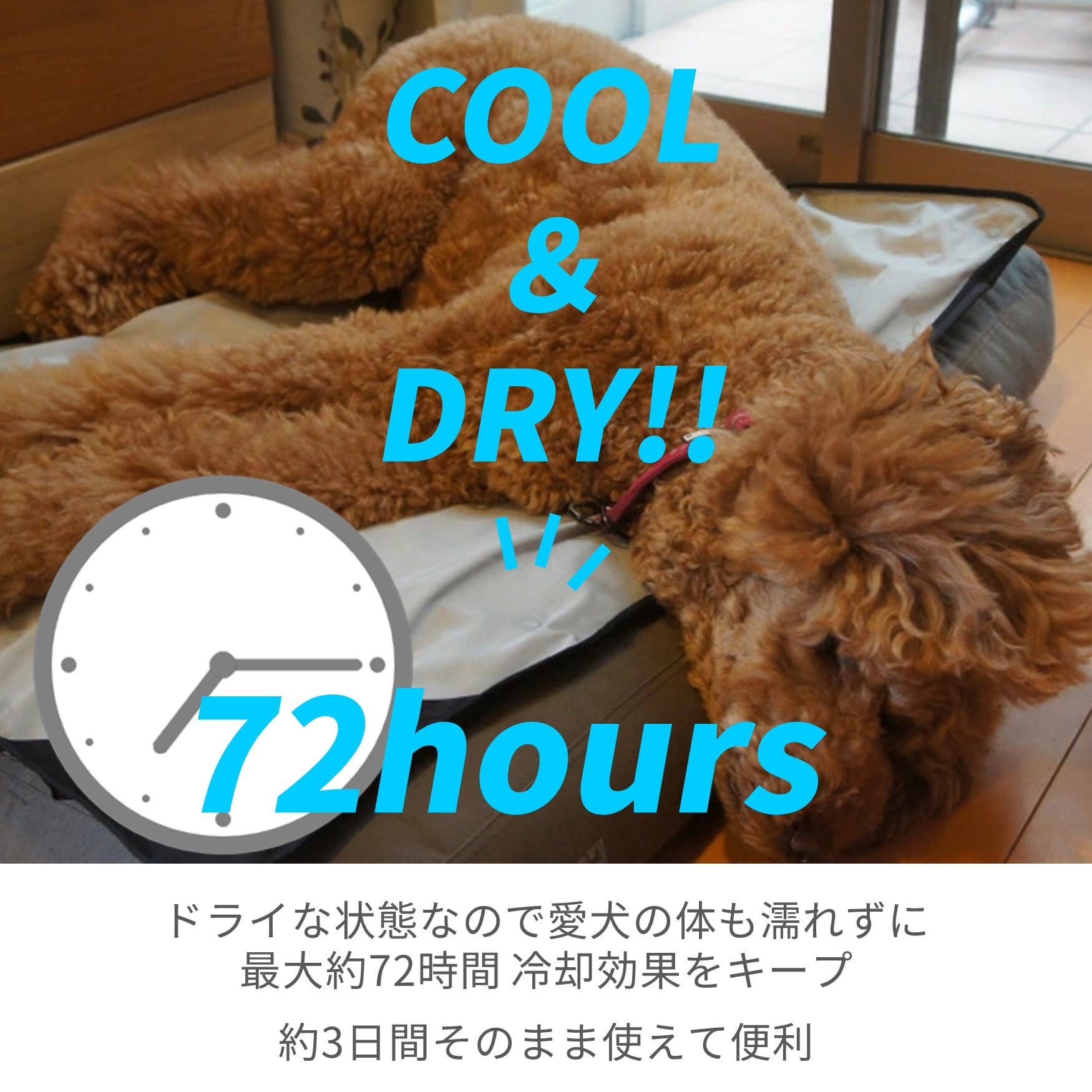 CANI COOL]カニクール クールマット Lサイズ【クーリングマット