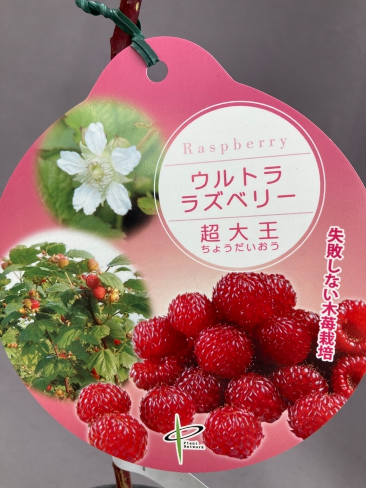 いちご。様 完成品ご確認ページ☺︎ 描く