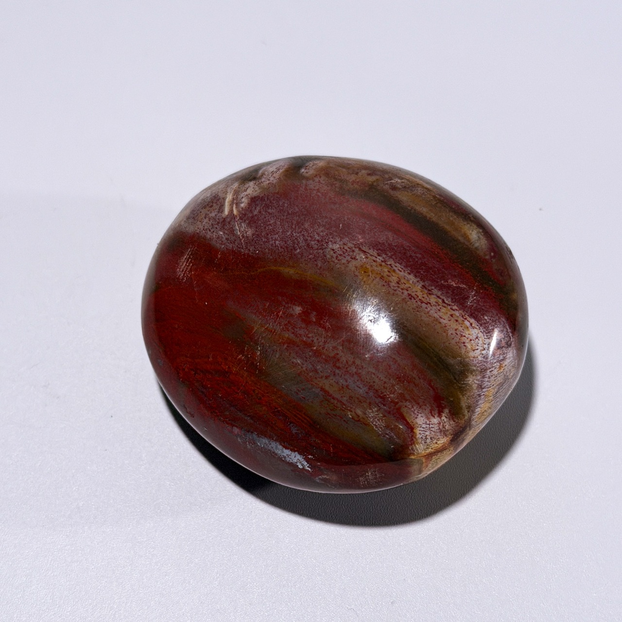 ペトリファイドウッド02 パーム ＊ Petrified Wood ＊ 天然石