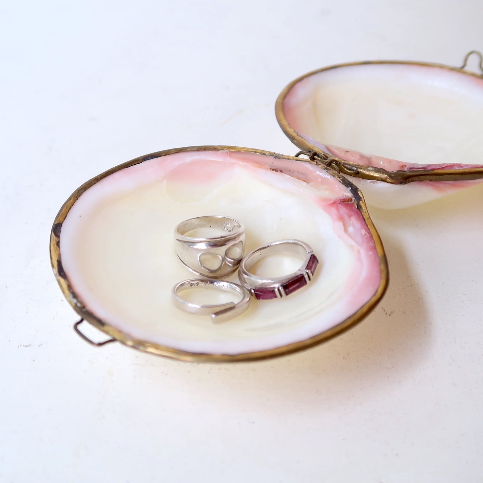 貝殻のアクセサリーケース | SUISUI