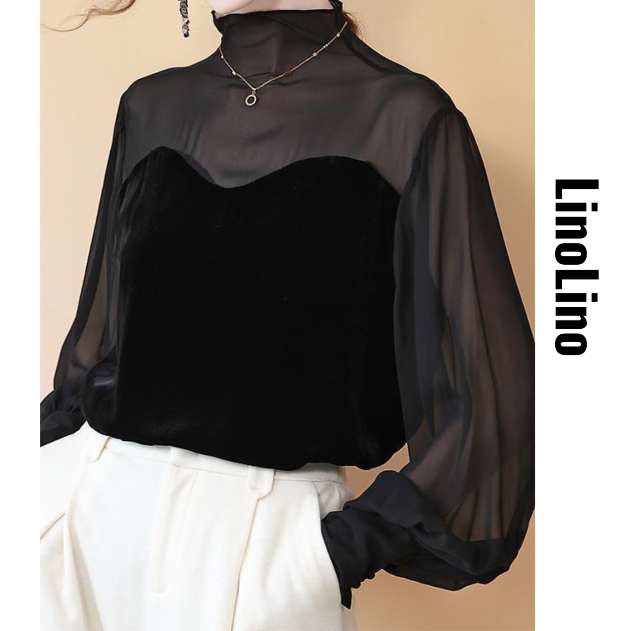 Sheer Velour Switch High Neck Blouse L00722