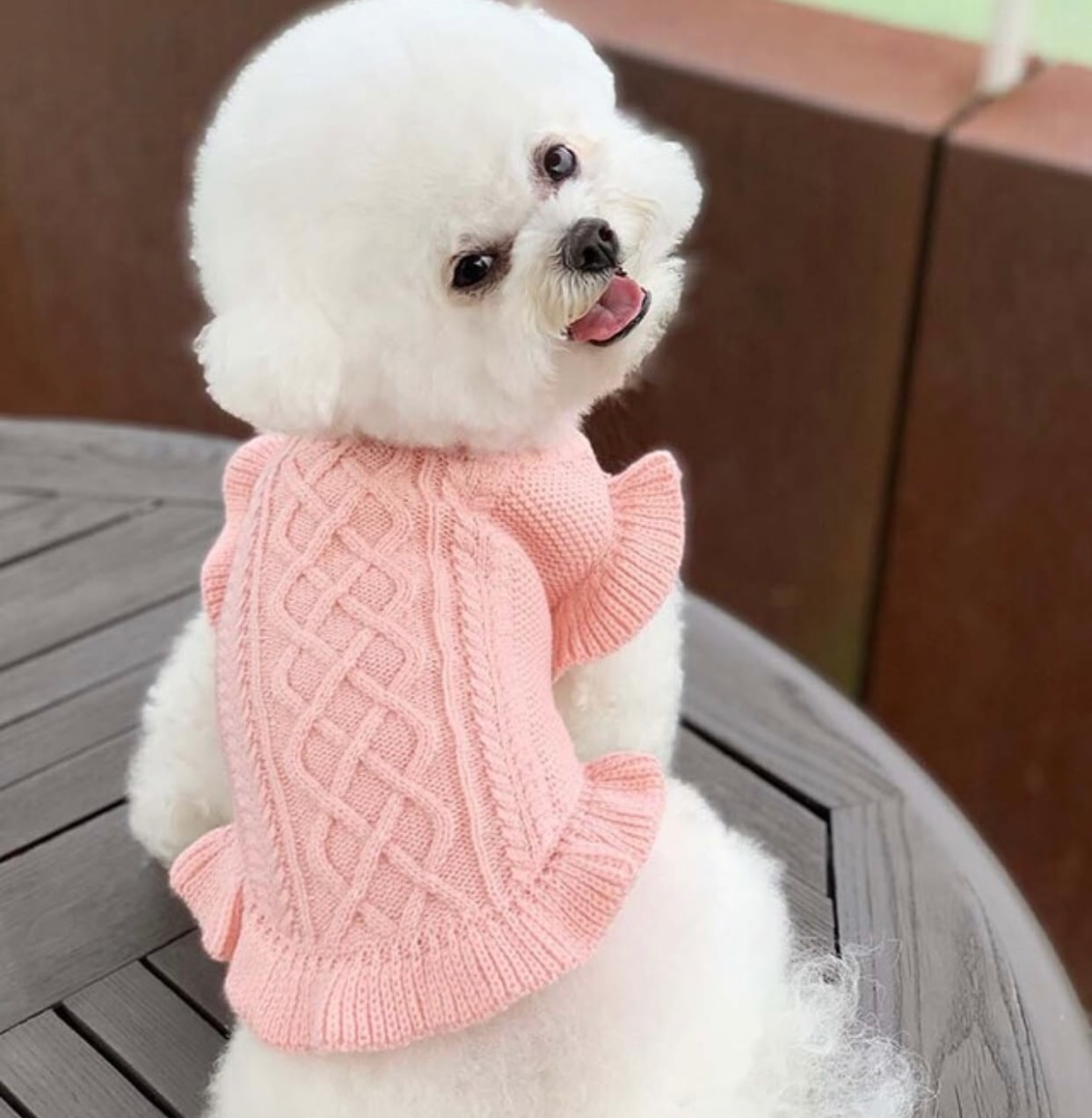 frill knit top 2color XS ~ XL / 犬服 秋冬 ニット フリル Tシャツ フリル袖 ドッグウェア シンプル ニット 小型犬 中型犬 犬 服 猫 ペット用品 ペット洋服 top95