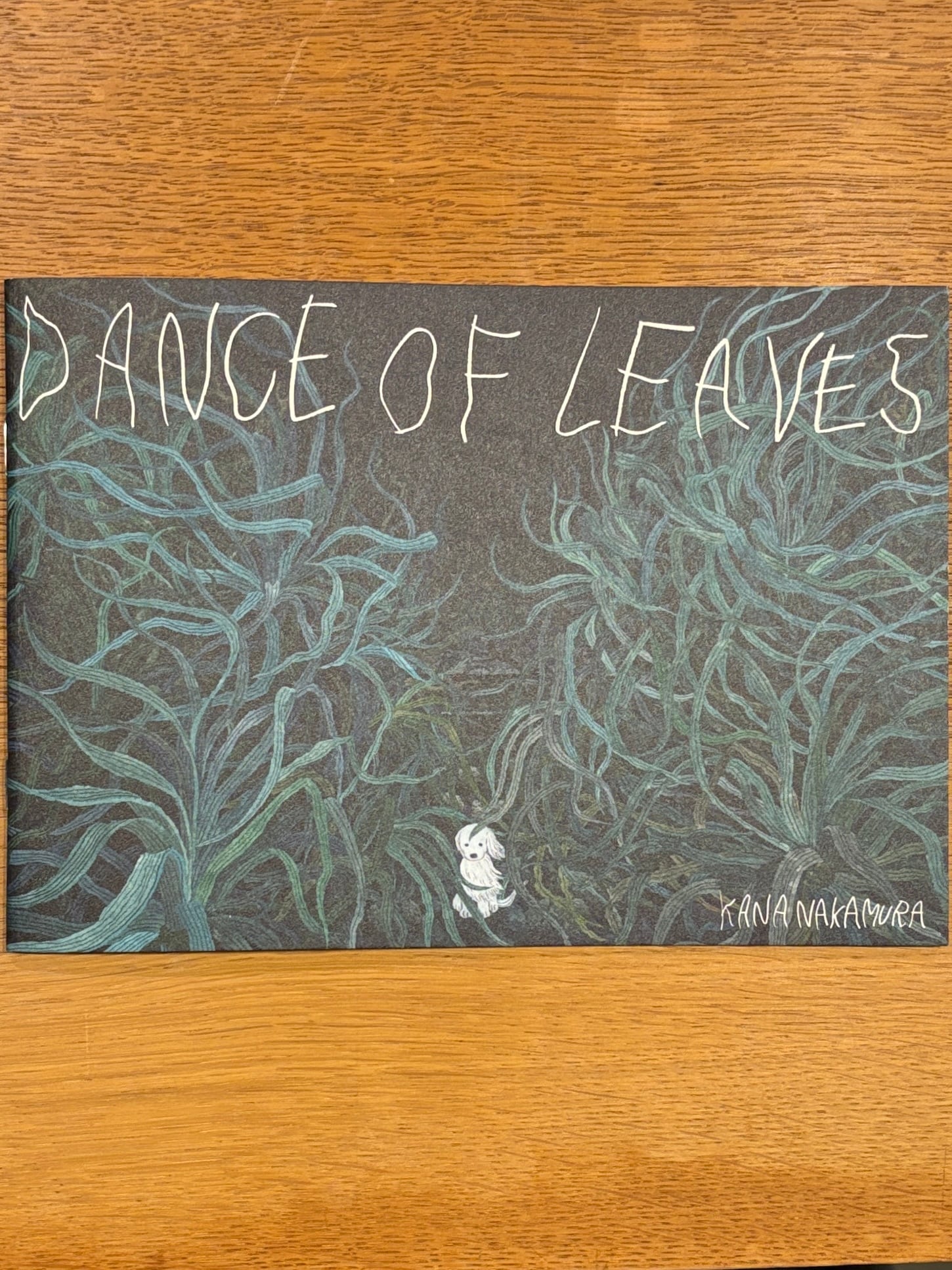 サイン本】中村雅奈『DANCE OF LEAVES』 | 本屋B&B