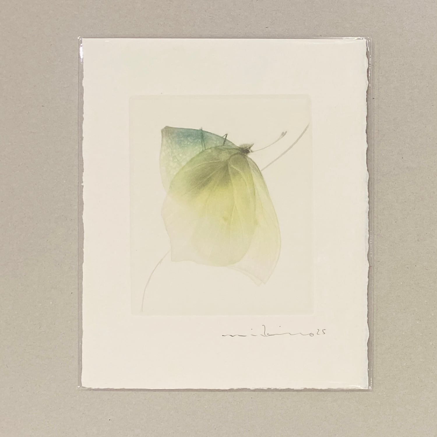 《ノエルの贈り物》渡邉幹夫 カラーメゾチントのカード WATANABE Mikio,mezzotint